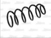 Magnum Technology SS006MT Coil Spring